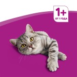 Корм для кошек влажный, Whiskas (Вискас) 85 г №28 от 1 года желе с курицей пауч